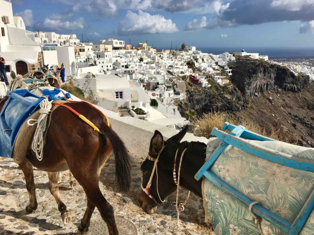 Donkeys carry construction supplies through the town of Firostefani.