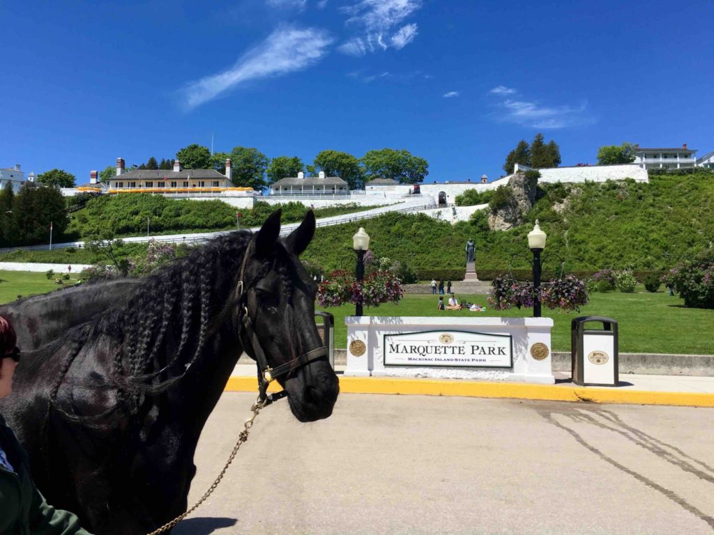A horse photo-bombs this picture of Marquette Park and Fort Mackinac.