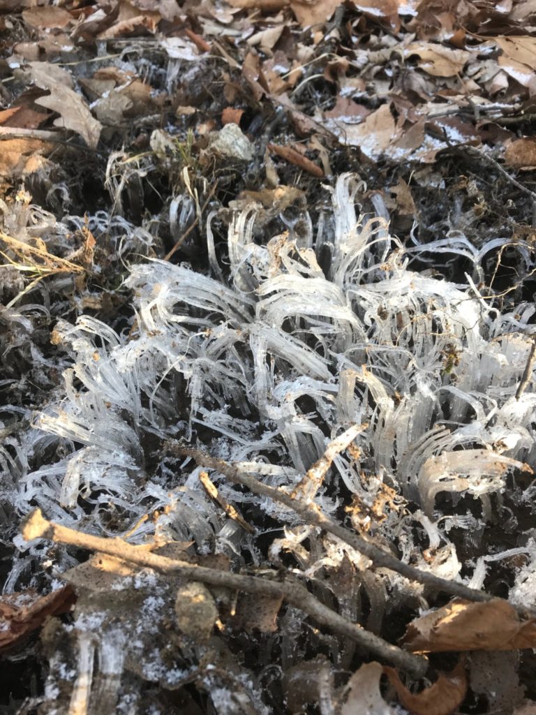 Crazy Mother Nature creating ice sculptures