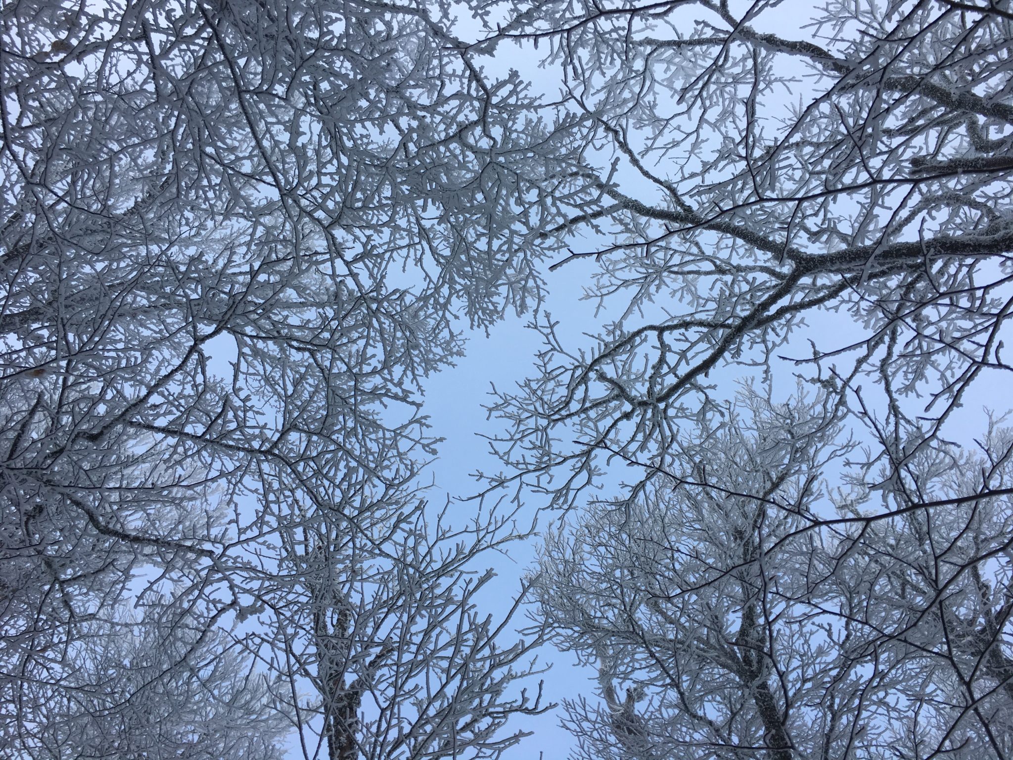 There is beauty in the cold