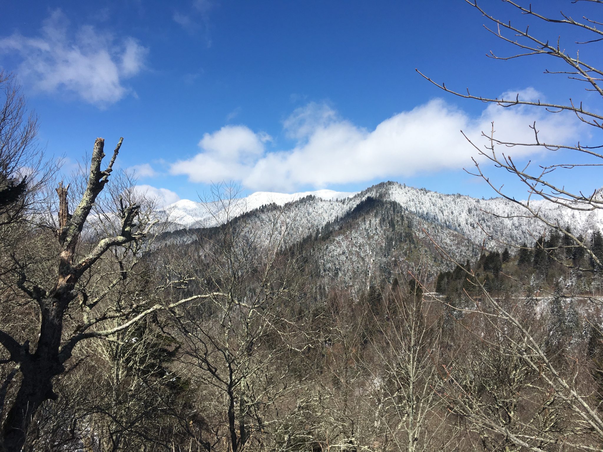 Beautiful view from Newfound Gap