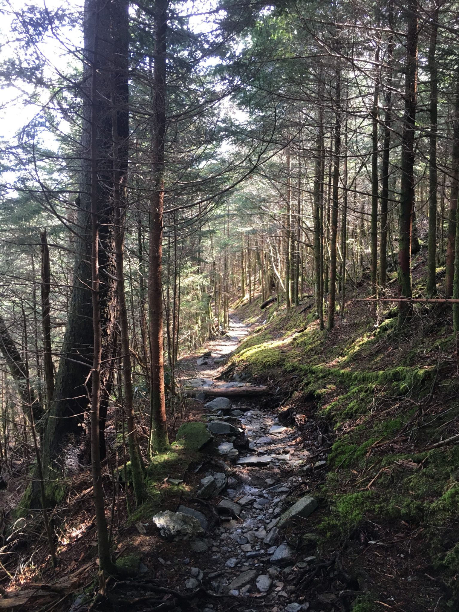 Enjoying a snow-free trail