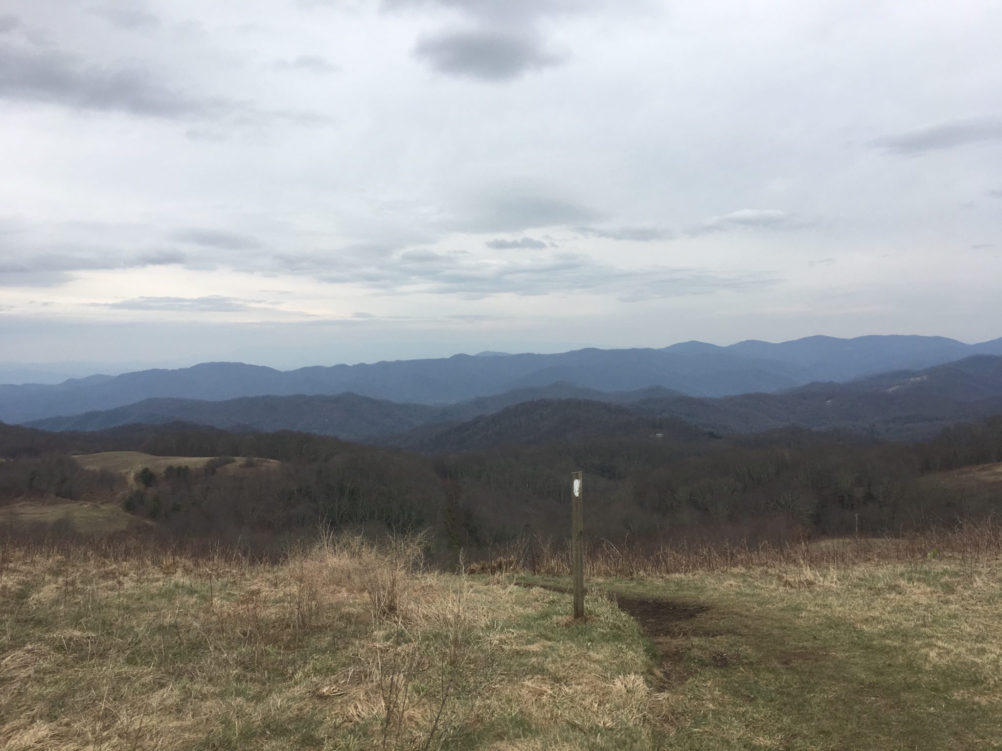 Views from Max Patch