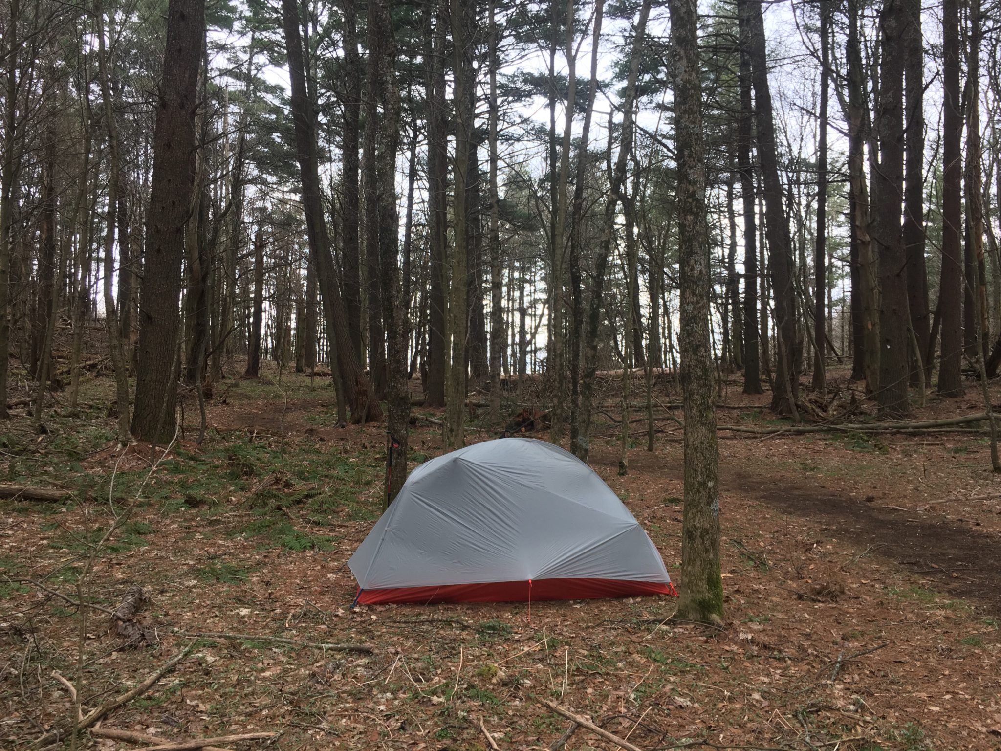 My first night camping alone in the woods without Michael