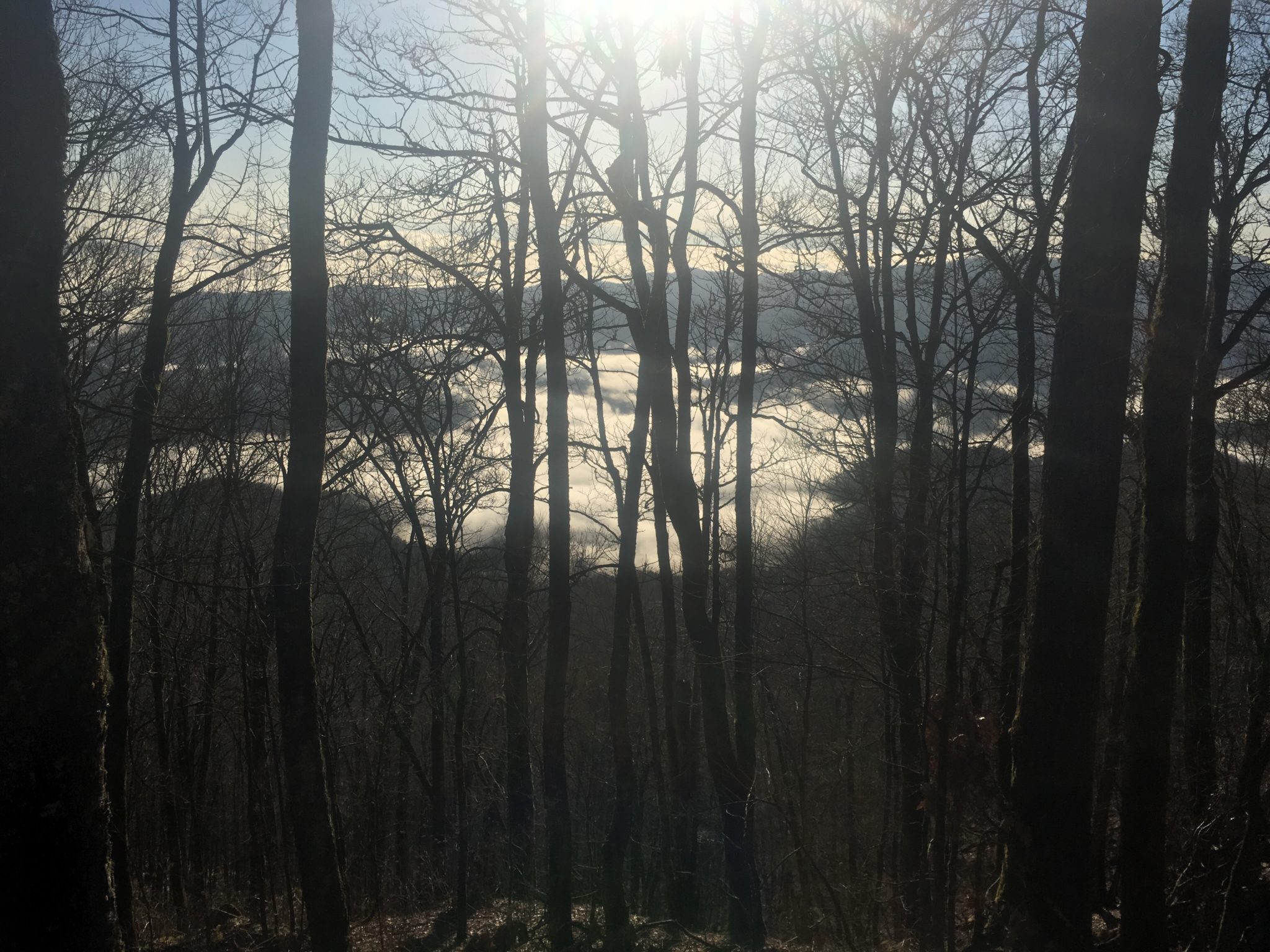 A beautiful morning on the trail