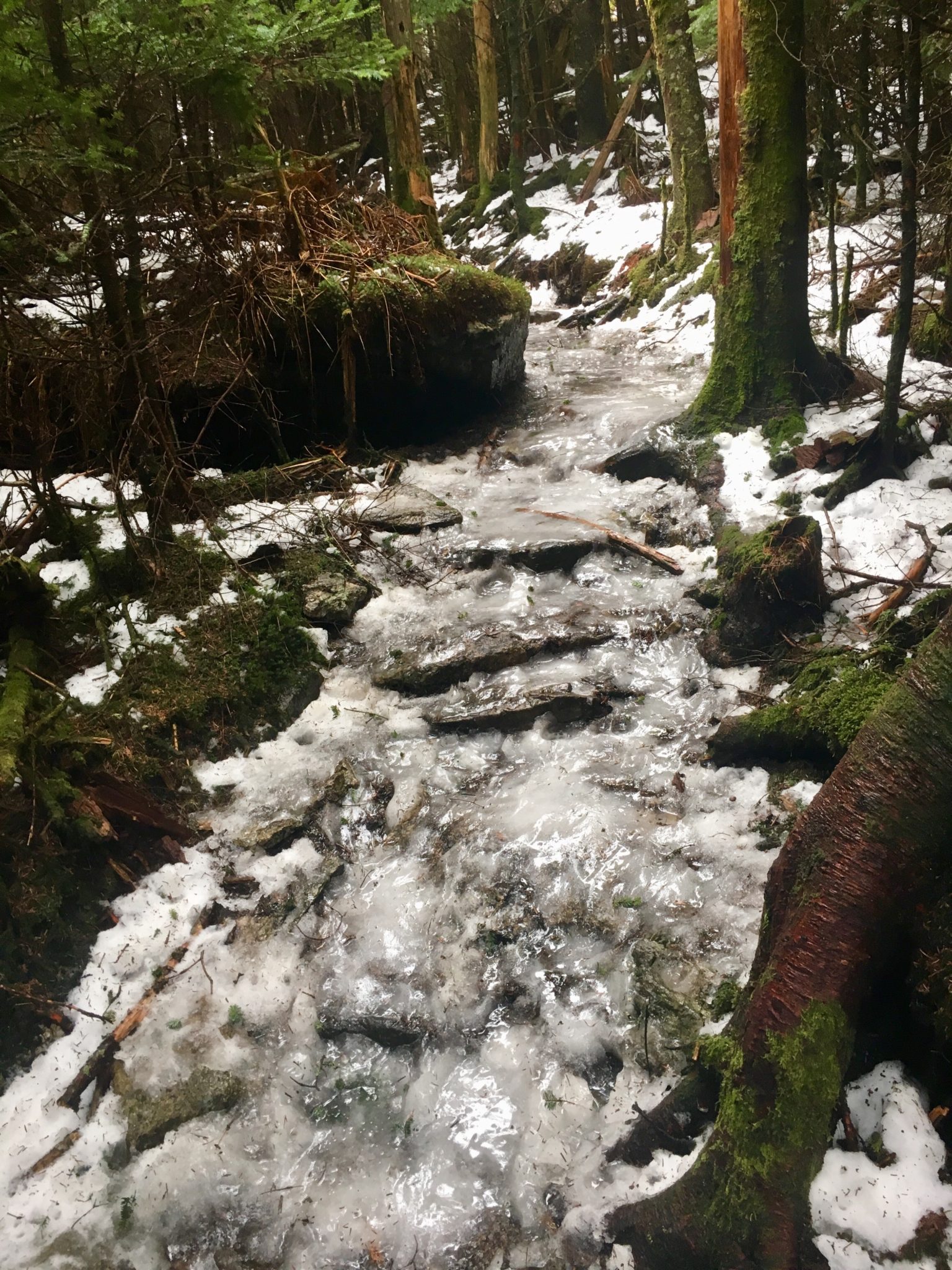 The trail was a river of ice