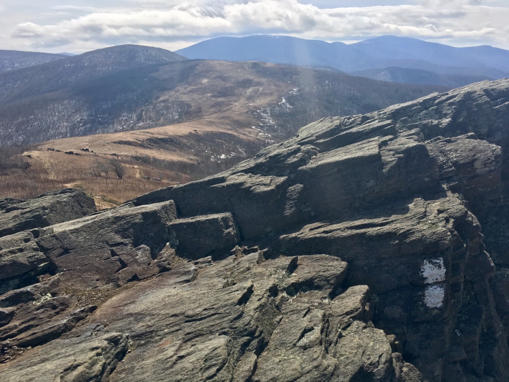 White blazes on Hump Mountain