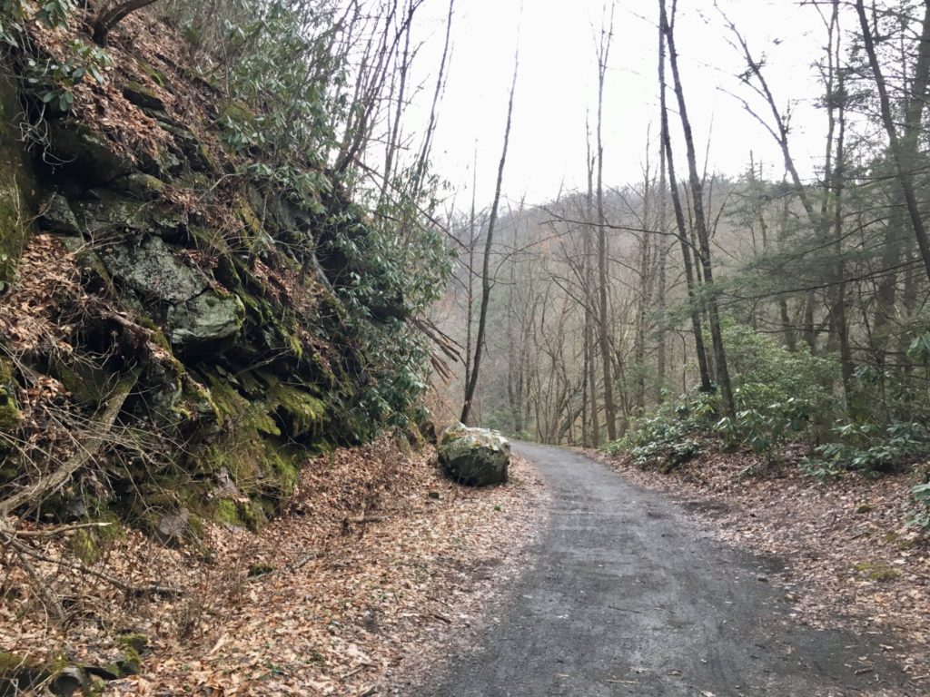 Nice and easy along the Virginia Creeper Trail