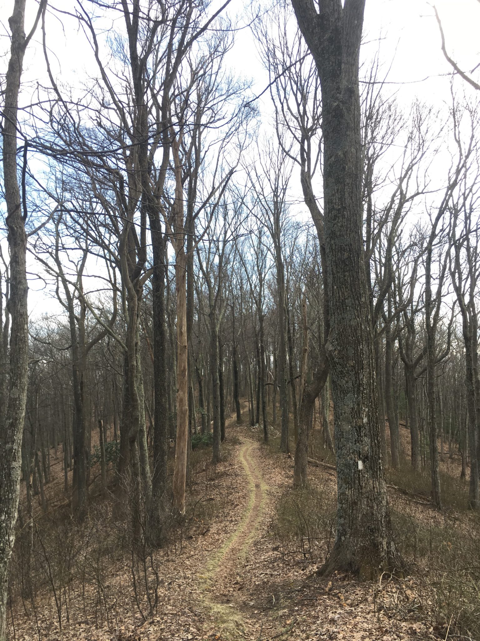 Walking along the ridgeline