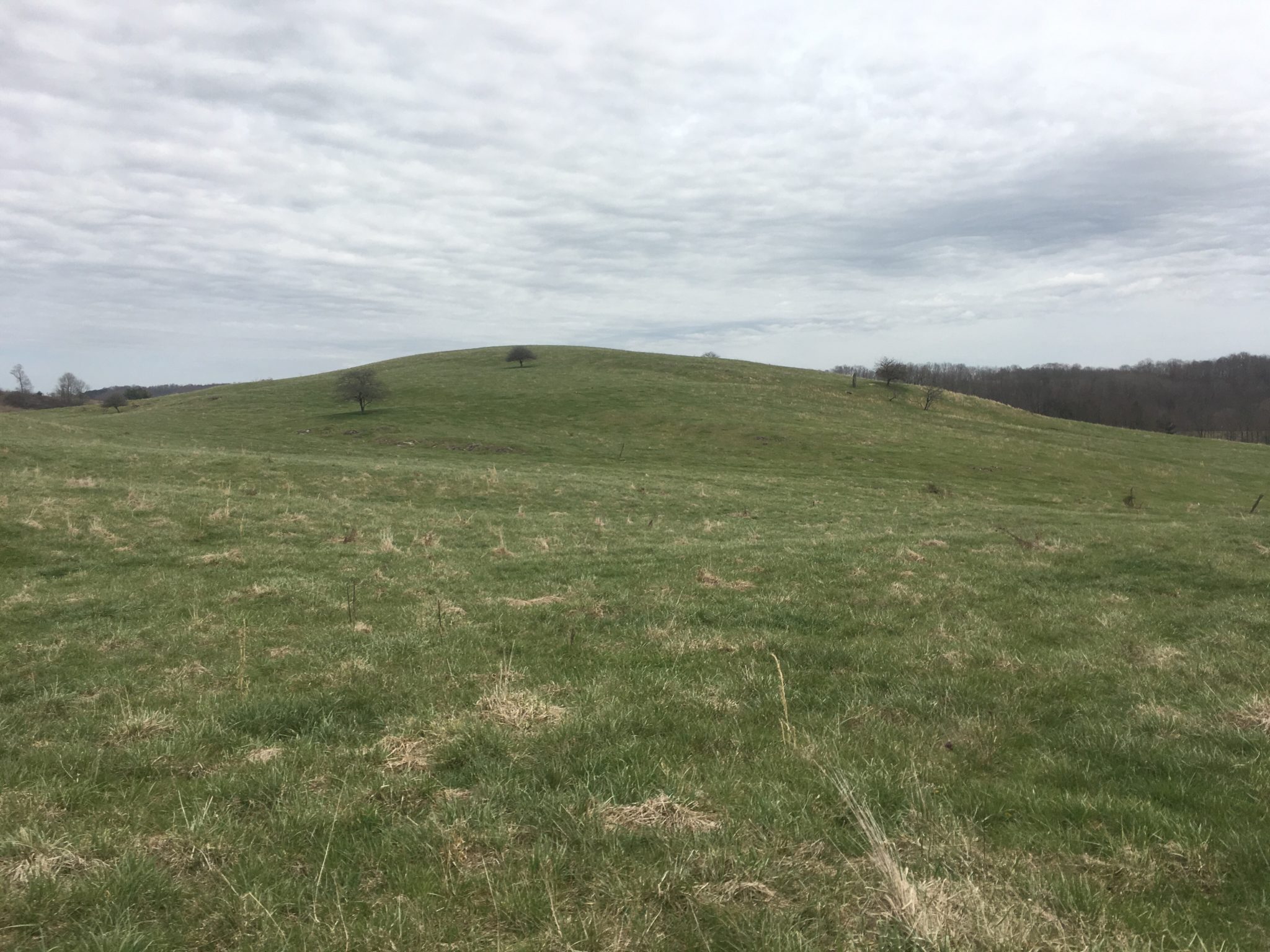 Hiking through pastures
