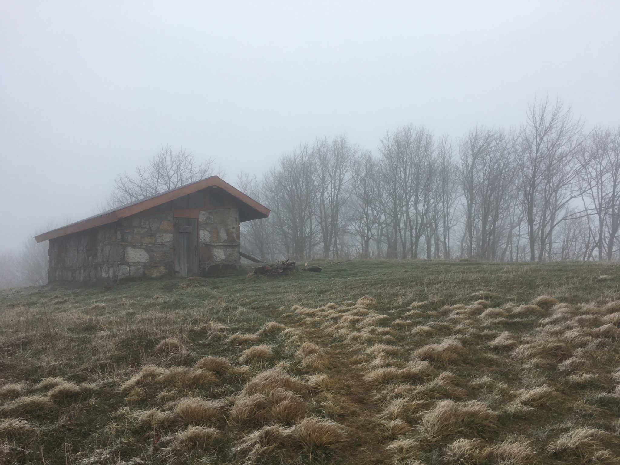Chestnut Knob Shelter in the eerie fog
