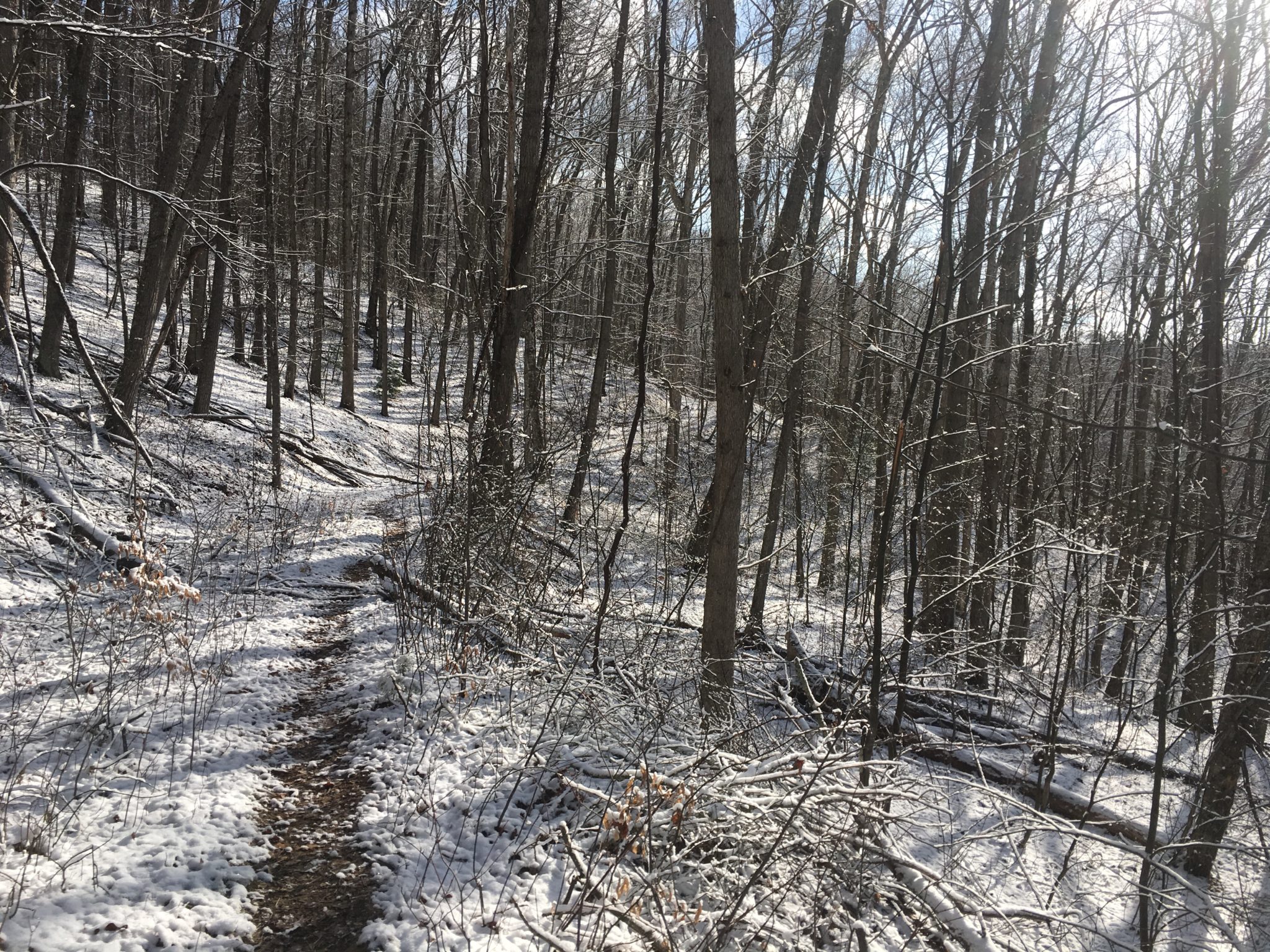 Fresh snow on the ground