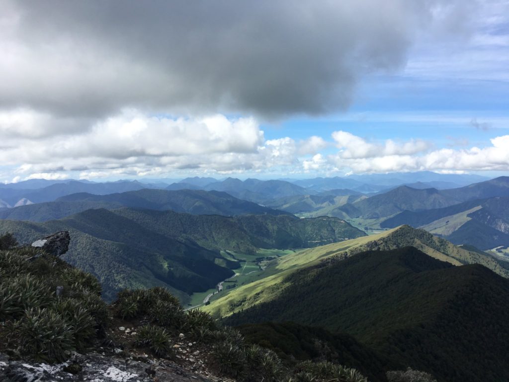 Looking north toward the Marlborough Sounds