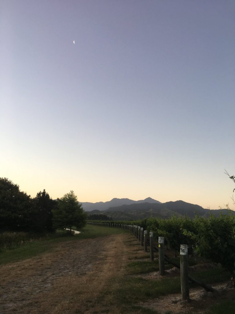 Mt. Riley and Mt. Sunday in the distance with the moon high above