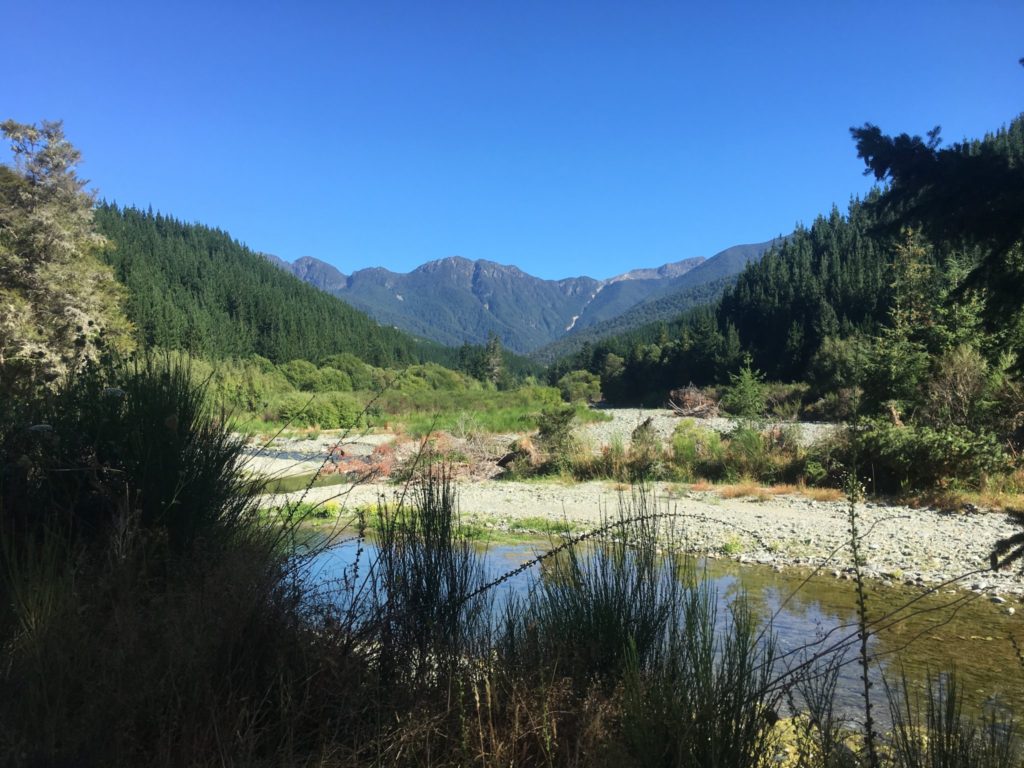 A wrong turn led me to the Mt. Fishtail trailhead, possibly pictured in the distance