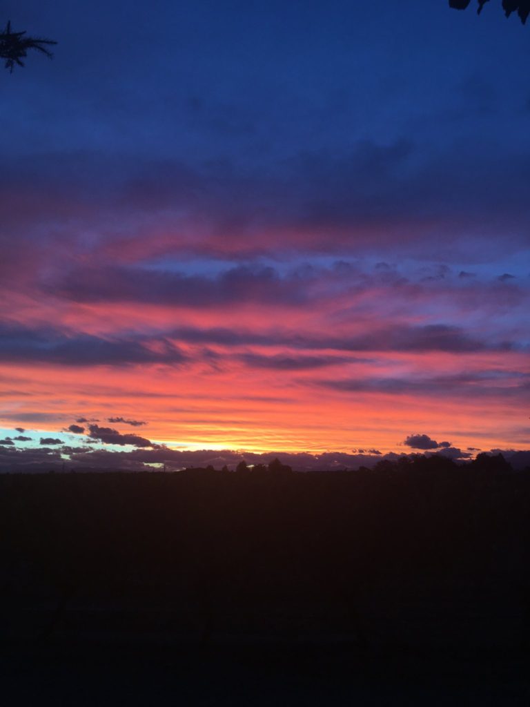 blenheim sunset
