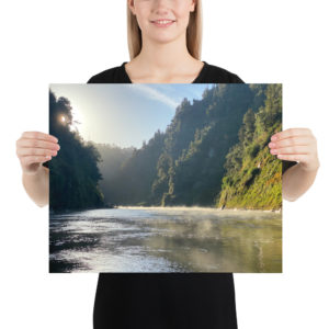 Whanganui River, Te Araroa Print