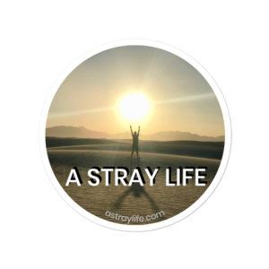 A Stray Life Sticker